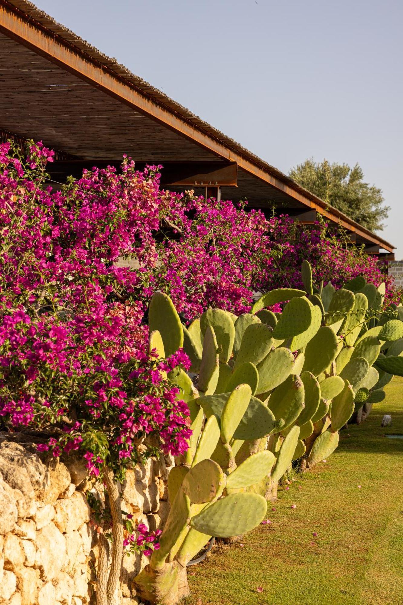 Masseria San Francesco 萨维勒特里 外观 照片