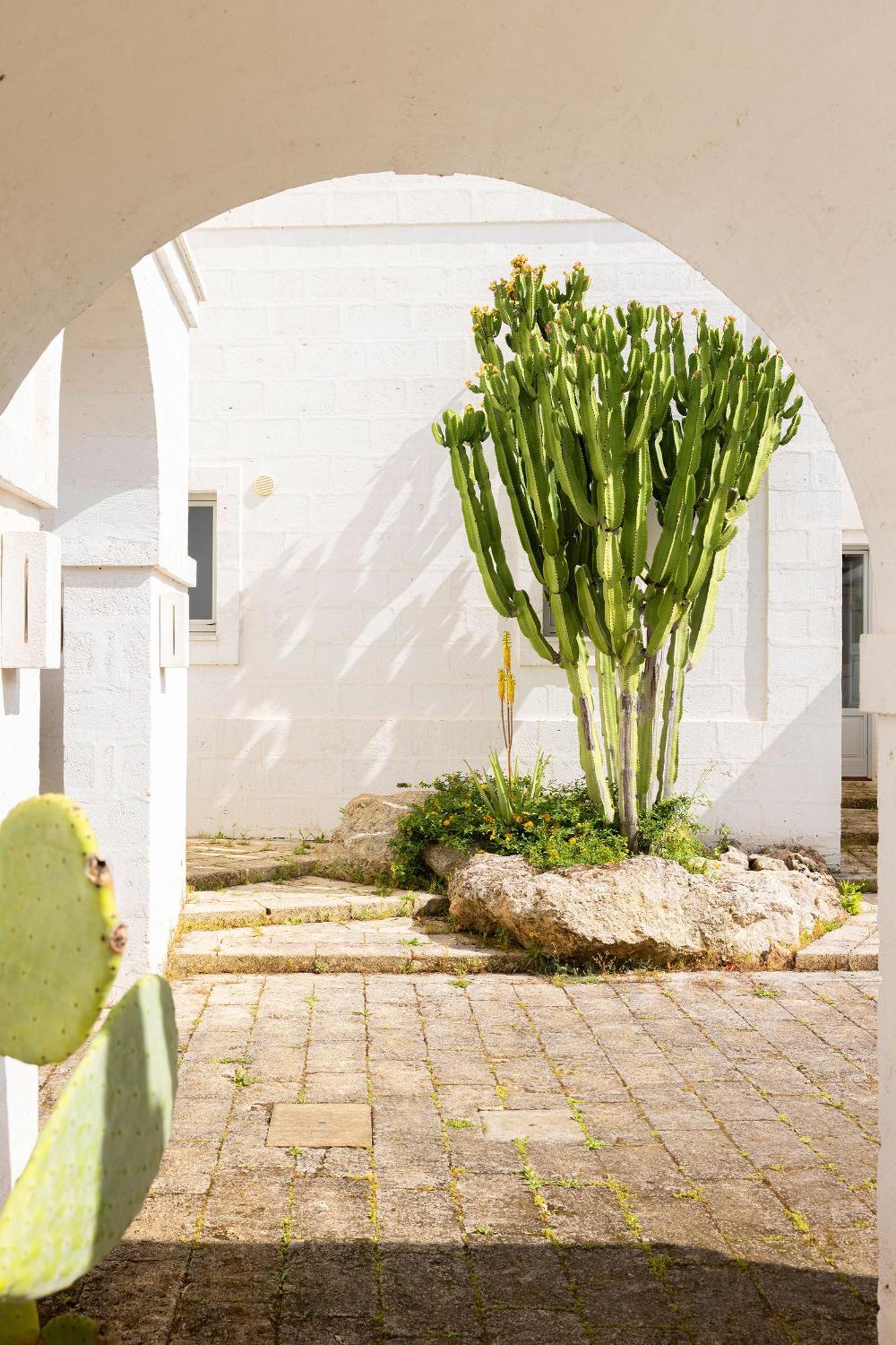 Masseria San Francesco 萨维勒特里 外观 照片