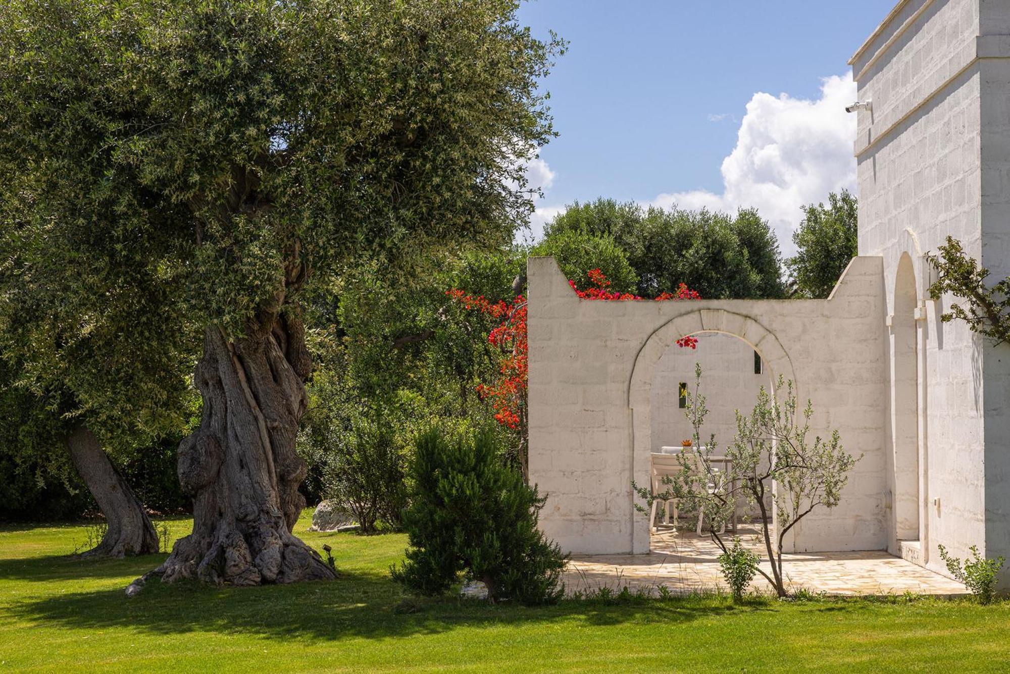 Masseria San Francesco 萨维勒特里 外观 照片